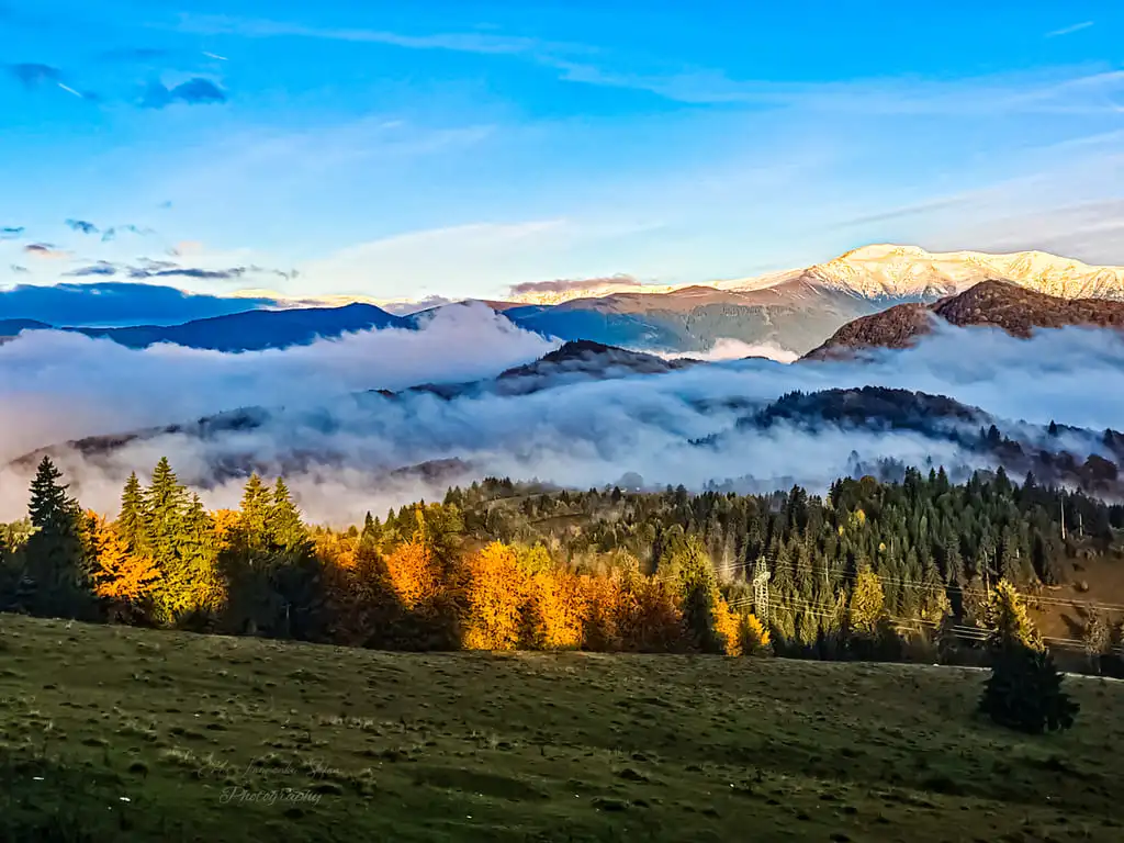 Peisaj din natură - calm și echilibru în cabinet terapii Daniela Dobre terapeut Bowen Brașov
